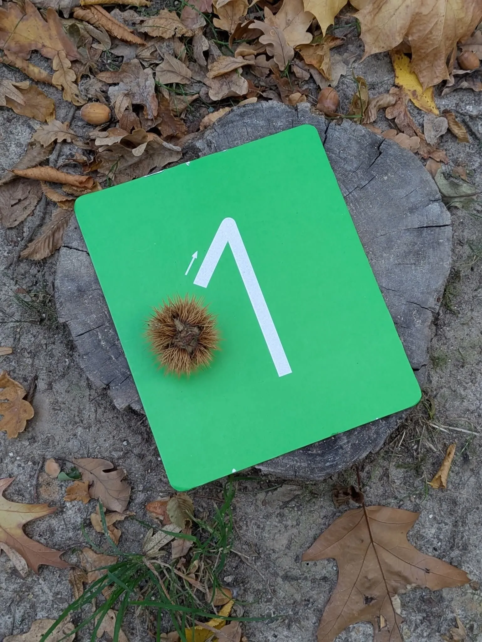 Une étape d'un jeu de piste de calcul dans le parc