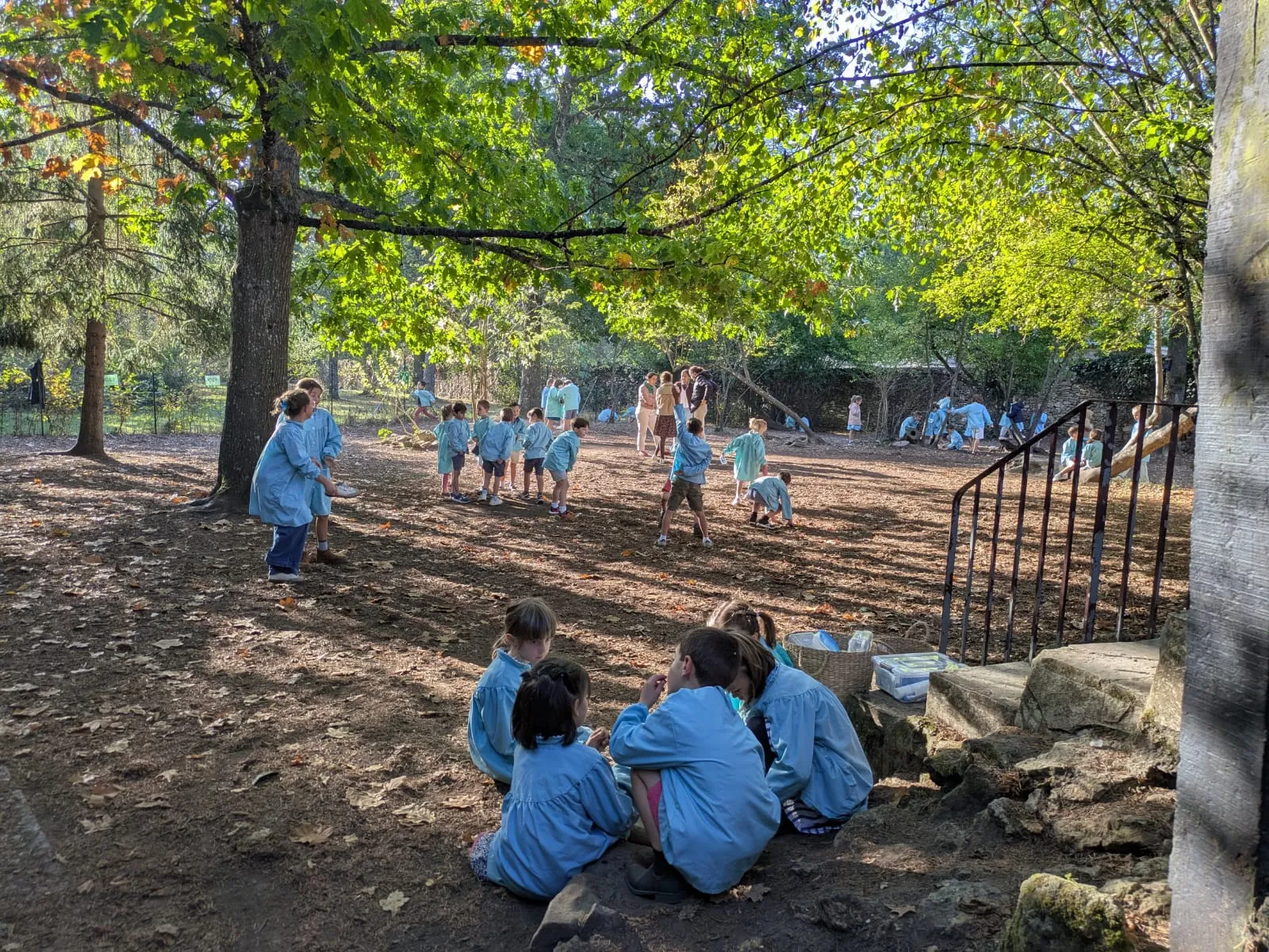 La récréation sous les grands arbres du parc de l'école